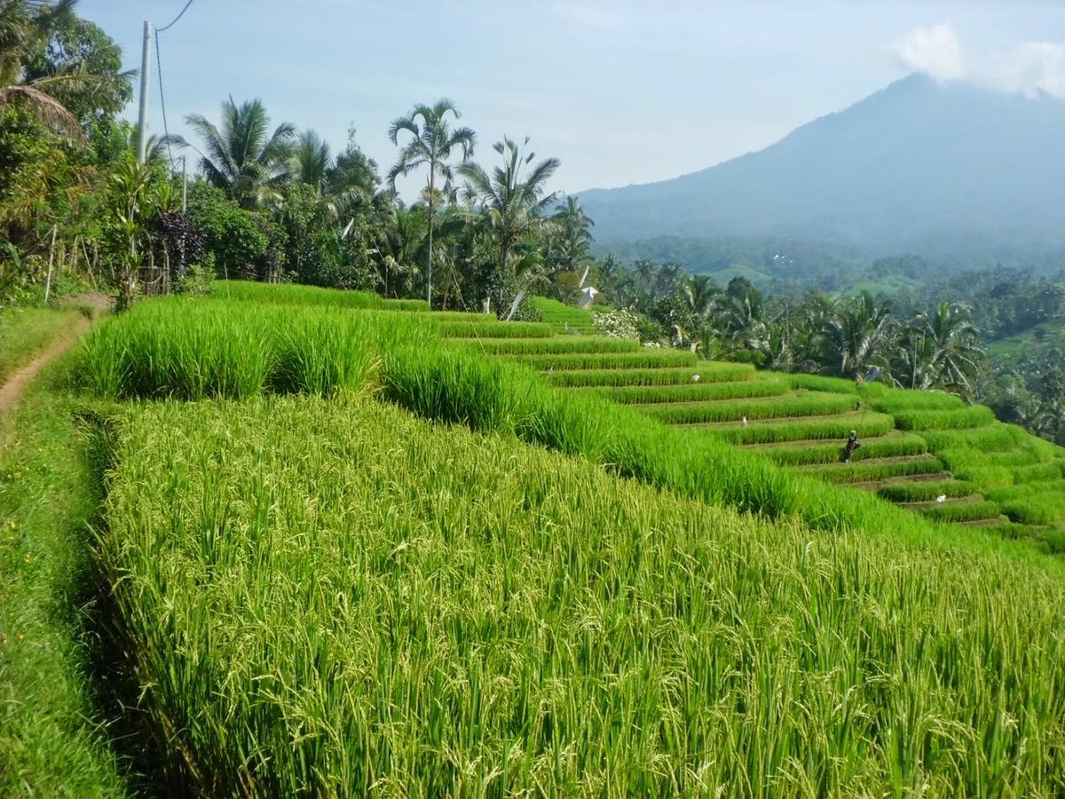 Zen Rooms Basic Kuta Kubu Anyar Exterior foto